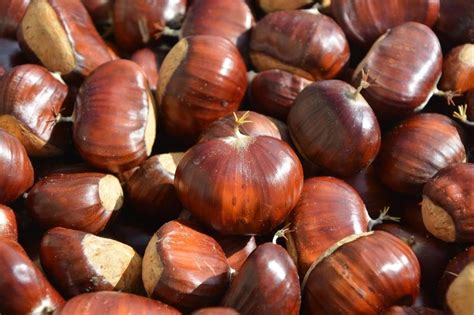 Les Marrons