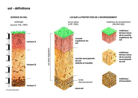 Les sols à l