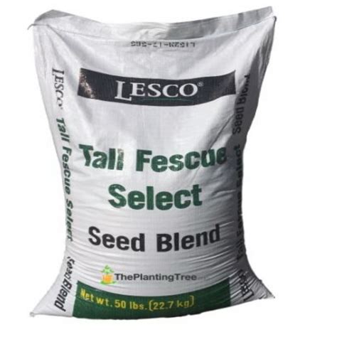 Lesco All Pro Transition Grass Seed is very desirable and weed free.