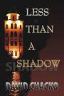 Full Download Less Than A Shadow By David Chacko
