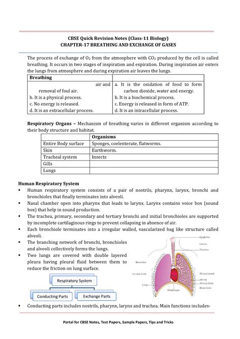 Lesson 11: Ch17&21 Control of Gene Expression in Eukaryotes ... - Quizlet