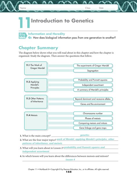 Lesson 11 Introduction To Genetics Workbook