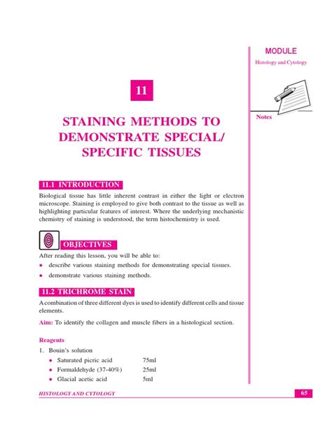 Lesson 11 Staining methods to demonstrate specialSpecial tissue 1