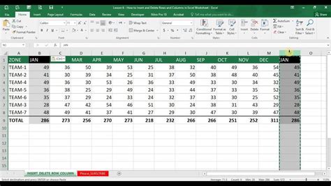 Lesson 6 How to Insert and Delete Rows and Columns in Excel Worksheet