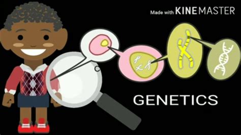 Lesson Video - Introduction to Genetics - YouTube