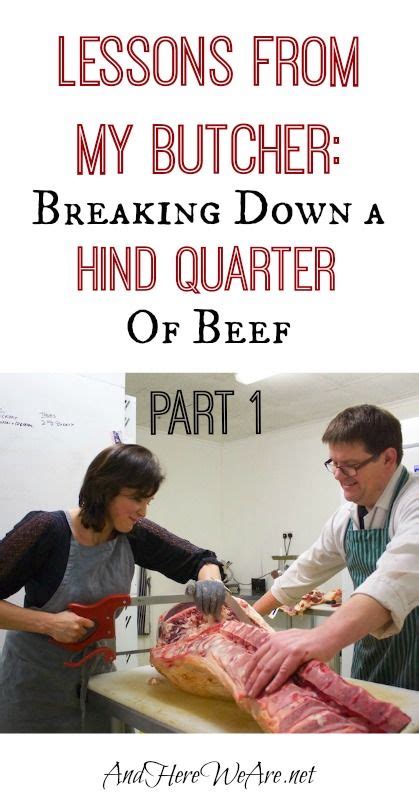 Lessons From My Butcher: Breaking Down a Hind …