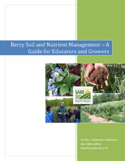 Lessons Learned Through the NE SARE Berry Soil and Nutrient …