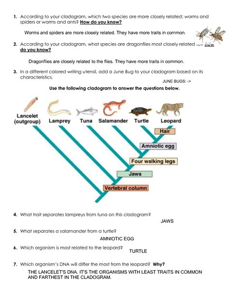 Let's build a cladogram answers key. Description. In this activity, students will be given 6 arthropods to analyze and turn into a cladogram. There are 2 versions included: 1. In the easier version, traits are already given for students to look for. Students fill out the chart if the trait is present or absent for each organism and turn it into a cladogram. 