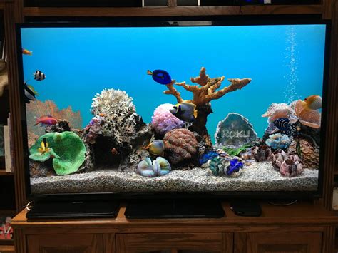 Let the eel eat! Provide an update to the aquarium... - Roku Community