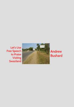 Download Lets Use Free Speech To Praise Visiting Swaziland By Andrew Bushard