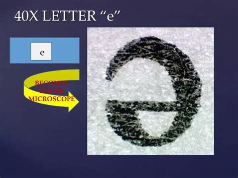 Letter e 10x magnification. .  <a href=https://drreality.isiteguru.com/tmeryp/index.ph...