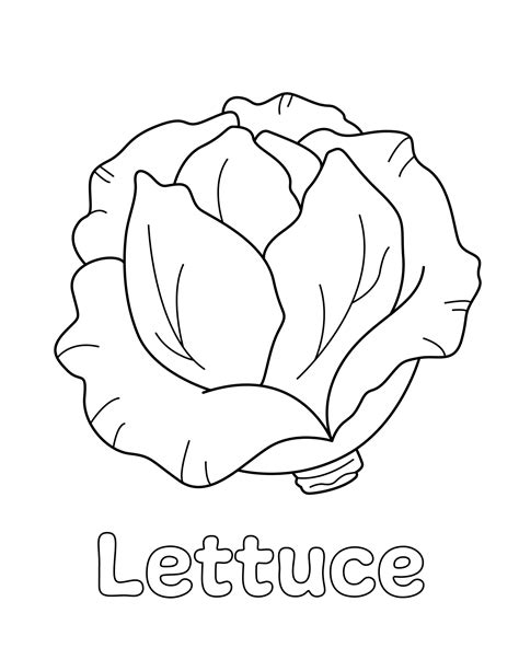 Lettuce Coloring Pages