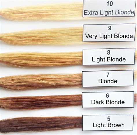 Level 10 blonde. The International Color Level System Hair Color Levels Explained. First off, let's understand the how color levels work. The color level system describes exactly the level of darkness or lightness of hair, or depth of the hair color. Levels go from Level 1 (Black) to Level 10 (Extra Light Blonde). Level 1 and 2 are black; Level 3 is dark brown 