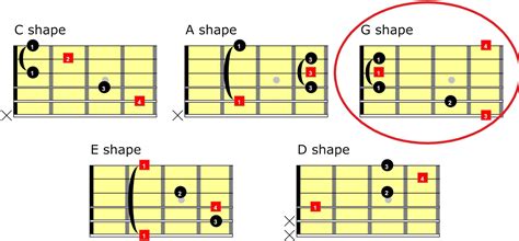 Level 145 CAGED System For Learning Chords (GForm) Levels For Guitar