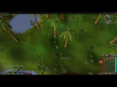 Level 7–15: Feldip weasels Hunter Training OSRS - YouTube