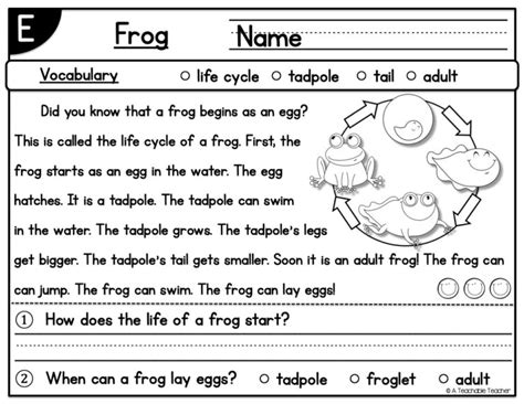 Level E Reading Passages Teaching Resources TPT