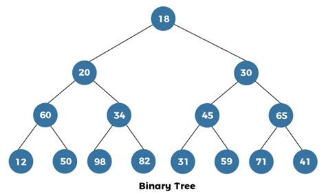 Level order Traversal in a Binary Tree - javatpoint