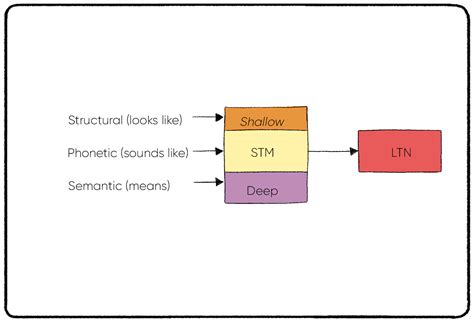Levels of Processing Theory Practical Psychology