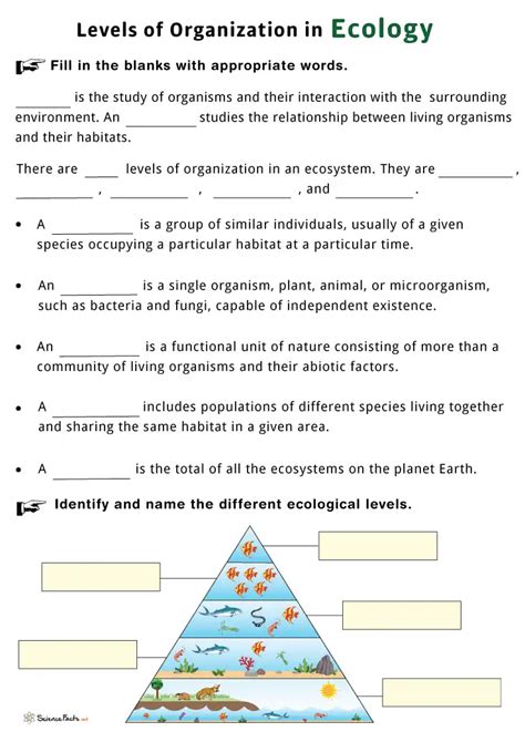 Levels of ecological organization answer key. .  ...