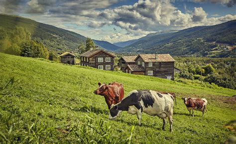 Leverant&ouml;rsskuld: Vad &auml;r det & hur bokf&ouml;ra? Vilket konto?