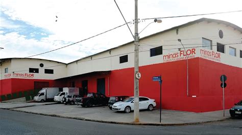 Lewis Flores  Belo Horizonte