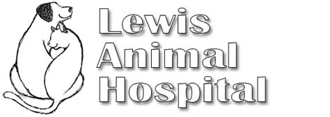 Lewis animal hospital. Things To Know About Lewis animal hospital. 