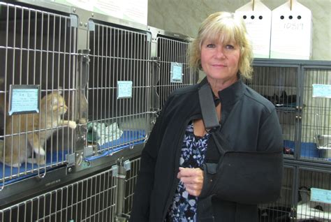 Lewis county animal shelter. Things To Know About Lewis county animal shelter. 
