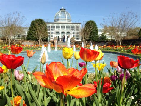 Lewis ginter. Things To Know About Lewis ginter. 
