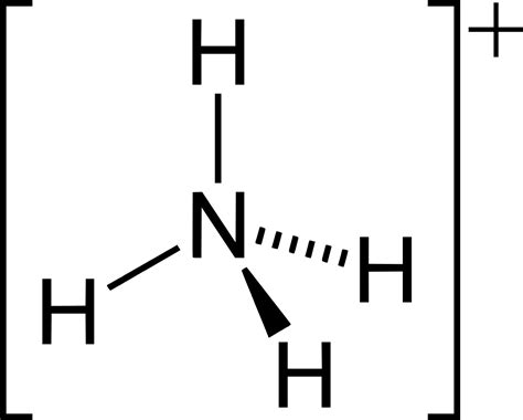 Lewis structure of ammonium. The Lewis Dot Structure for NH4+ (Ammonium) is shown above. These kinds of structures can also be shown by representing each of the bonds with two dots. Each atom in the bond has a full valence shell, with nitrogen having access to eight electrons and each hydrogen having access to two ( this is why hydrogen only needs two). 
