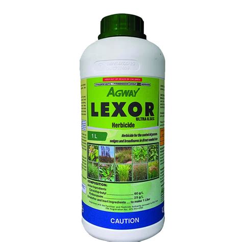 Lexor. Things To Know About Lexor. 