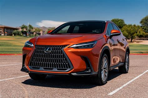 Lexus C Onlyfans Leak
