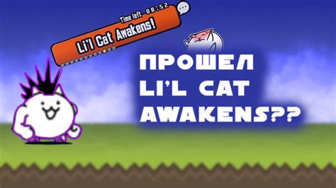 Li'l cat awakens. Things To Know About Li'l cat awakens. 