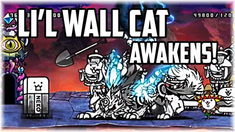 Li'l tank awakens. This article is about the Cat Unit. For the enemy unit, see Li'l Jamiera Cat (Enemy). Li'l Titan Cat is a Special Cat that can be unlocked by playing the Event Capsule. True Form added in Version 5.10 improves health, damage and attack rate and gains a chance to knockback non-Metals, but recharges slower. Evolves into Li'l Mythical Titan at level 10. Evolves into Li'l Jamiera Cat when obtained ... 