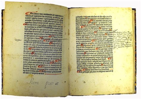 Liber introductorius des michael scotus in der abschrift clm 10268 der bayerischen staatsbibliothek münchen. - G1000 user guide for g36 bonanza.