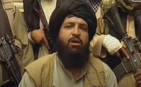 Liberal Lawyer Freed Taliban Commando on Frontlines …