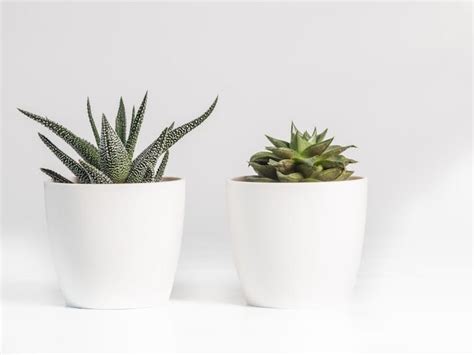 Liberty ny funeral home.  Get information about Colonial-Ramsay Funeral Homes in Libert...