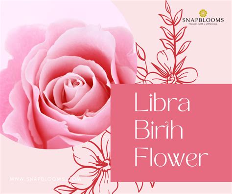 Libra Birth Flower: Birth Flowers for Libra - SnapBlooms Blogs