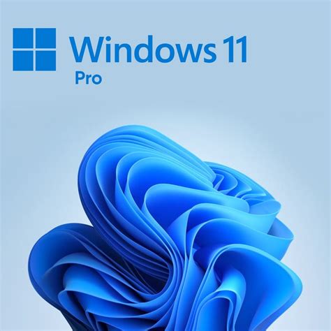 License MS OS windows 11 software