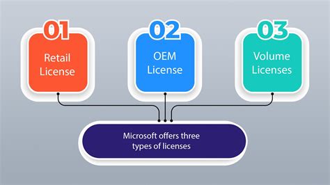 License MS win software