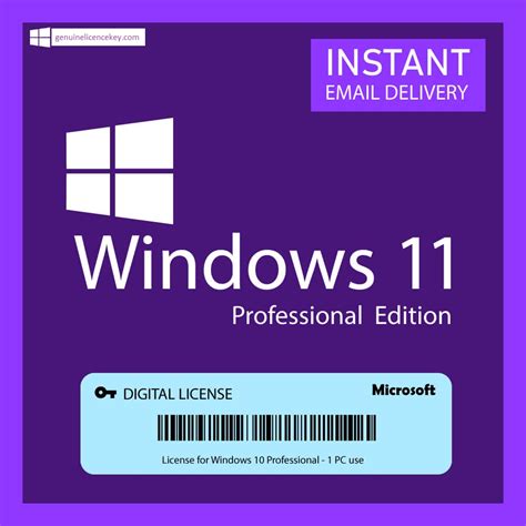 License MS windows for free
