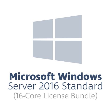 License MS windows server 2016 2021