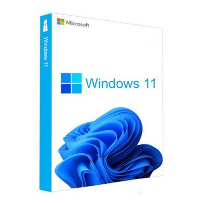 License OS windows 11 2024