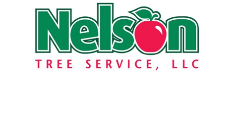 License for tree service.  Foreperson Driver License Required - NTS Nelson Tree...