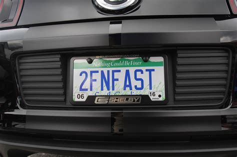 34. This license plate that loves cats and 