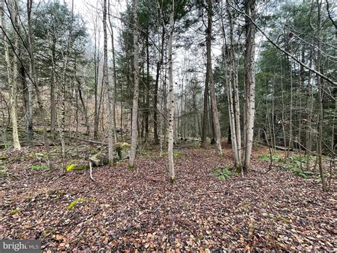 Lick run Rd, Albright, WV 26519 MLS# 10147911 Trulia