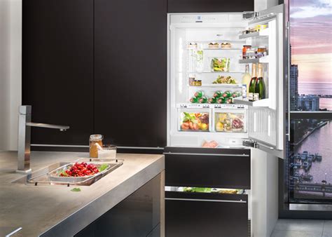 Liebherr fridge maintenance