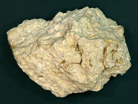 石灰岩（せっかいがん、英語: limestone ）は、炭酸カルシウム（CaCO 3 、方解石または霰石）を50%以上含む堆積岩。 炭酸カルシウムの比率が高い場合は白色を呈するが、不純物により着色し、灰色や茶色、黒色の石灰岩もある。 . 