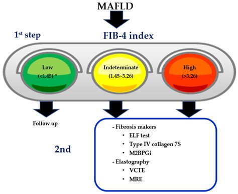 Life Free FullText FIB4 First in the Diagnostic Algorithm of
