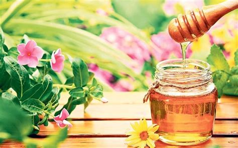 Life coach: is honey healthier than sugar? - Telegraph