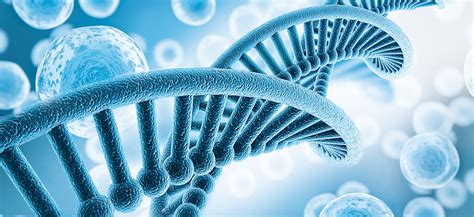 Life dna. Things To Know About Life dna. 